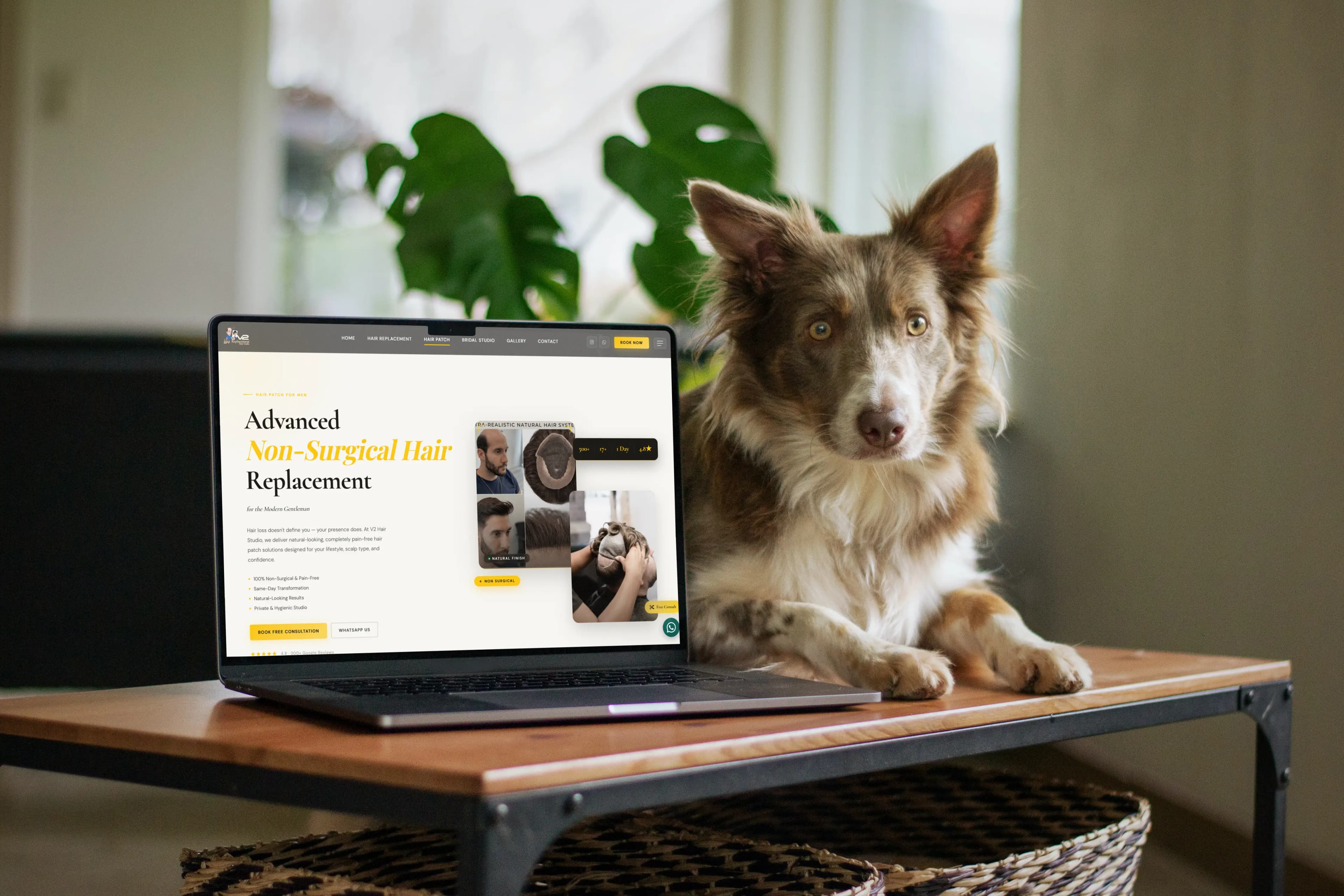 Website